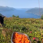 Sognefjorden-vik I Sogn Daire
