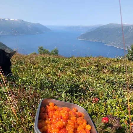 Sognefjorden-vik I Sogn Apartmán