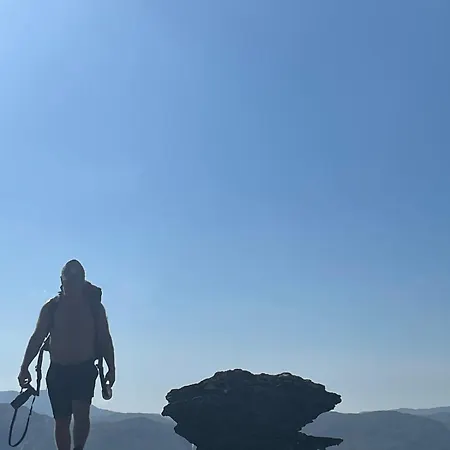 Sognefjorden-vik I Sogn *