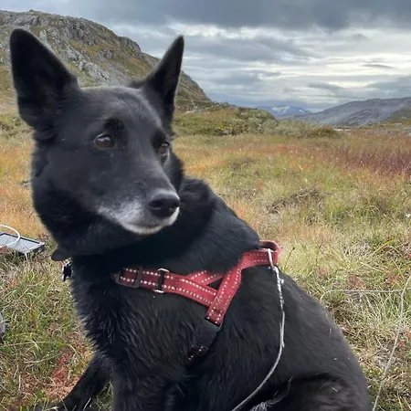 Sognefjorden-vik I Sogn Apartmán *