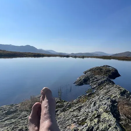 Sognefjorden-vik I Sogn Brekka (Roysane)